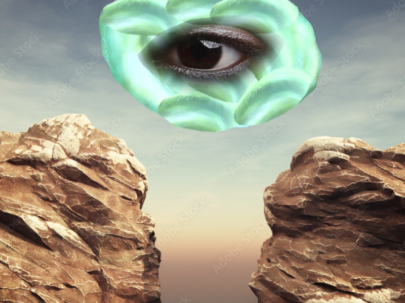 Bridging the Vision&nbsp;Gap