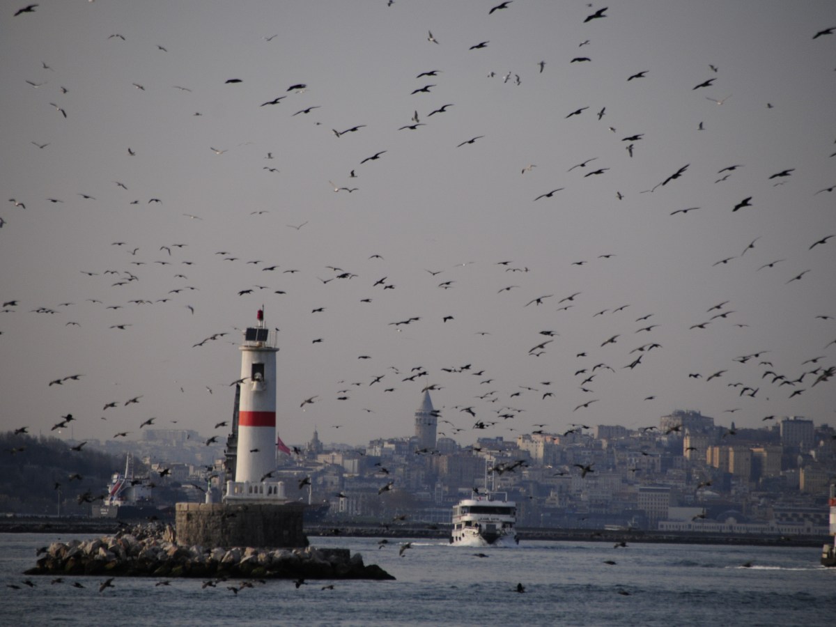 Büyük Resim Hissiyatı