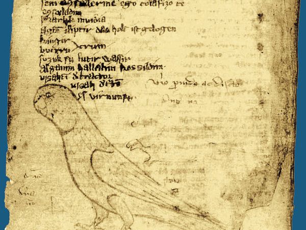 Codex Cumanicus and “куаныш”